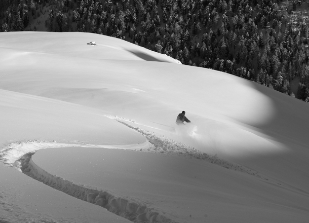 Powder ski.