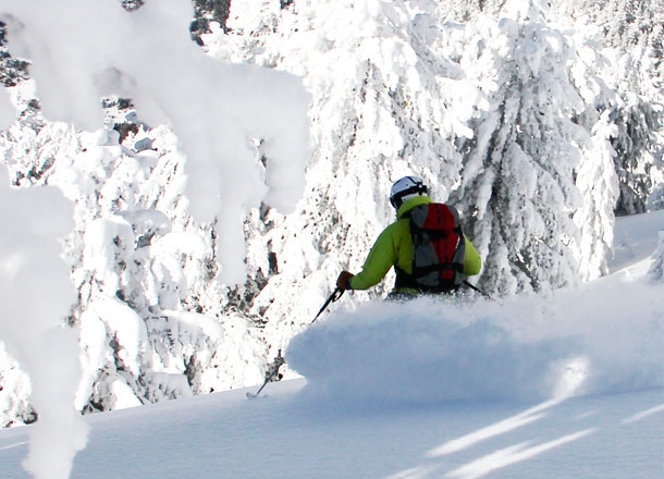 Tree skiing.